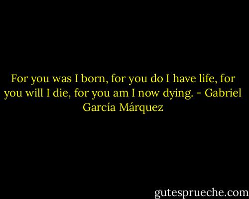 For you was I born, for you do I have life, for you will I die, for you am I now dying. - Gabriel García Márquez