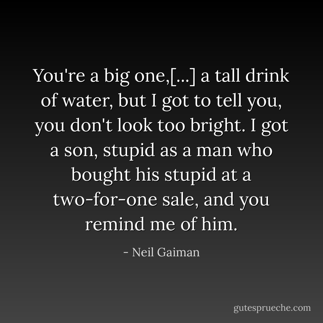 You're a big one,[...] a tall drink of water, but I got to tell you, you don't look too bright. I got a son, stupid as a man who bought his stupid at a two-for-one sale, and you remind me of him. - Neil Gaiman