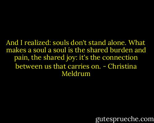 And I realized: souls don't stand alone. What makes a soul a soul is the shared burden and pain, the shared joy: it's the connection between us that carries on. - Christina Meldrum
