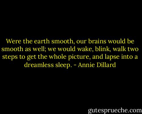 Were the earth smooth, our brains would be smooth as well; we would wake, blink, walk two steps to get the whole picture, and lapse into a dreamless sleep. - Annie Dillard