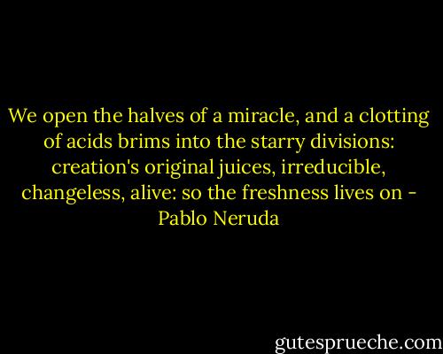 We open<br />the halves<br />of a miracle,<br />and a clotting of acids<br />brims<br />into the starry<br />divisions:<br />creation's<br />original juices,<br />irreducible, changeless,<br />alive:<br />so the freshness lives on - Pablo Neruda