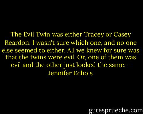 The Evil Twin was either Tracey or Casey Reardon. I wasn't sure which one, and no one else seemed to either. All we knew for sure was that the twins were evil. Or, one of them was evil and the other just looked the same. - Jennifer Echols