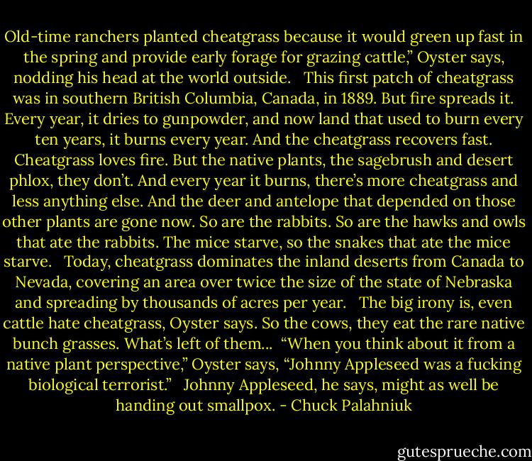 Old-time ranchers planted cheatgrass because it would green up fast in the spring and provide early forage for grazing cattle,” Oyster says, nodding his head at the world outside. <br /><br />This first patch of cheatgrass was in southern British Columbia, Canada, in 1889. But fire spreads it. Every year, it dries to gunpowder, and now land that used to burn every ten years, it burns every year. And the cheatgrass recovers fast. Cheatgrass loves fire. But the native plants, the sagebrush and desert phlox, they don’t. And every year it burns, there’s more cheatgrass and less anything else. And the deer and antelope that depended on those other plants are gone now. So are the rabbits. So are the hawks and owls that ate the rabbits. The mice starve, so the snakes that ate the mice starve. <br /><br />Today, cheatgrass dominates the inland deserts from Canada to Nevada, covering an area over twice the size of the state of Nebraska and spreading by thousands of acres per year. <br /><br />The big irony is, even cattle hate cheatgrass, Oyster says. So the cows, they eat the rare native bunch grasses. What’s left of them...<br /><br />“When you think about it from a native plant perspective,” Oyster says, “Johnny Appleseed was a fucking biological terrorist.” <br /><br />Johnny Appleseed, he says, might as well be handing out smallpox. - Chuck Palahniuk