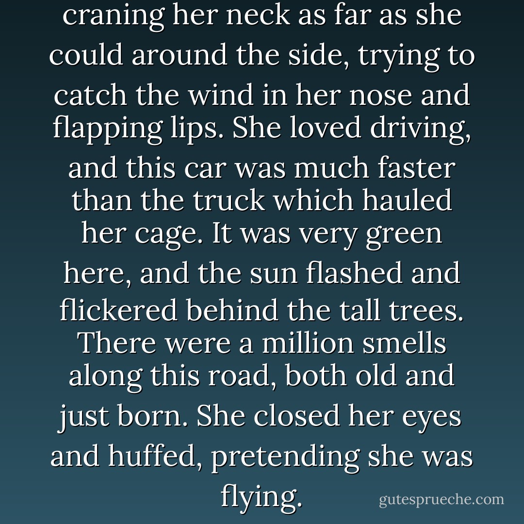 Gracie leaned out the back, craning her neck as far as she could around the side, trying to catch the wind in her nose and flapping lips. She loved driving, and this car was much faster than the truck which hauled her cage. It was very green here, and the sun flashed and flickered behind the tall trees. There were a million smells along this road, both old and just born. She closed her eyes and huffed, pretending she was flying. - Cole Alpaugh