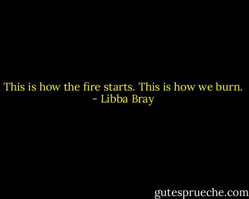 This is how the fire starts. This is how we burn. - Libba Bray