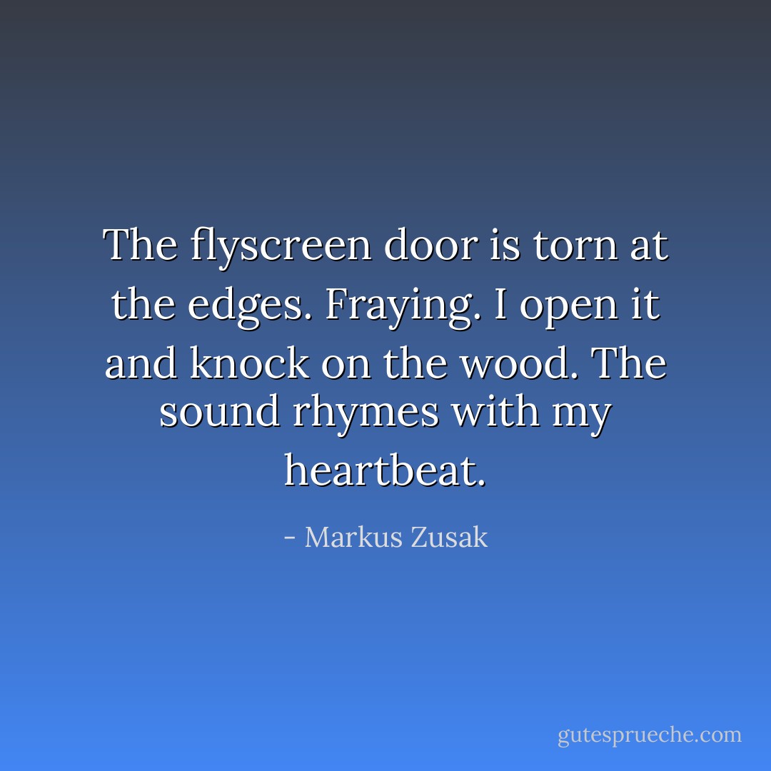 The flyscreen door is torn at the edges. Fraying. I open it and knock on the wood. The sound rhymes with my heartbeat. - Markus Zusak