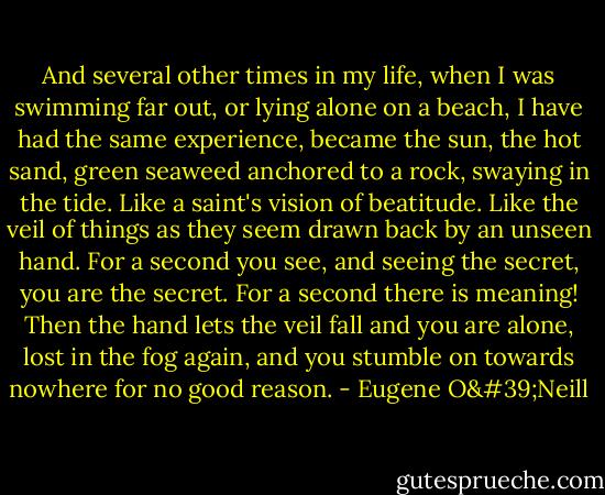 And several other times in my life, when I was swimming far out, or lying alone on a beach, I have had the same experience, became the sun, the hot sand, green seaweed anchored to a rock, swaying in the tide. Like a saint's vision of beatitude. Like the veil of things as they seem drawn back by an unseen hand. For a second you see, and seeing the secret, you are the secret. For a second there is meaning! Then the hand lets the veil fall and you are alone, lost in the fog again, and you stumble on towards nowhere for no good reason. - Eugene O'Neill