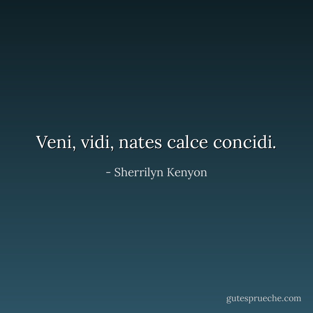 Veni, vidi, nates calce concidi. - Sherrilyn Kenyon