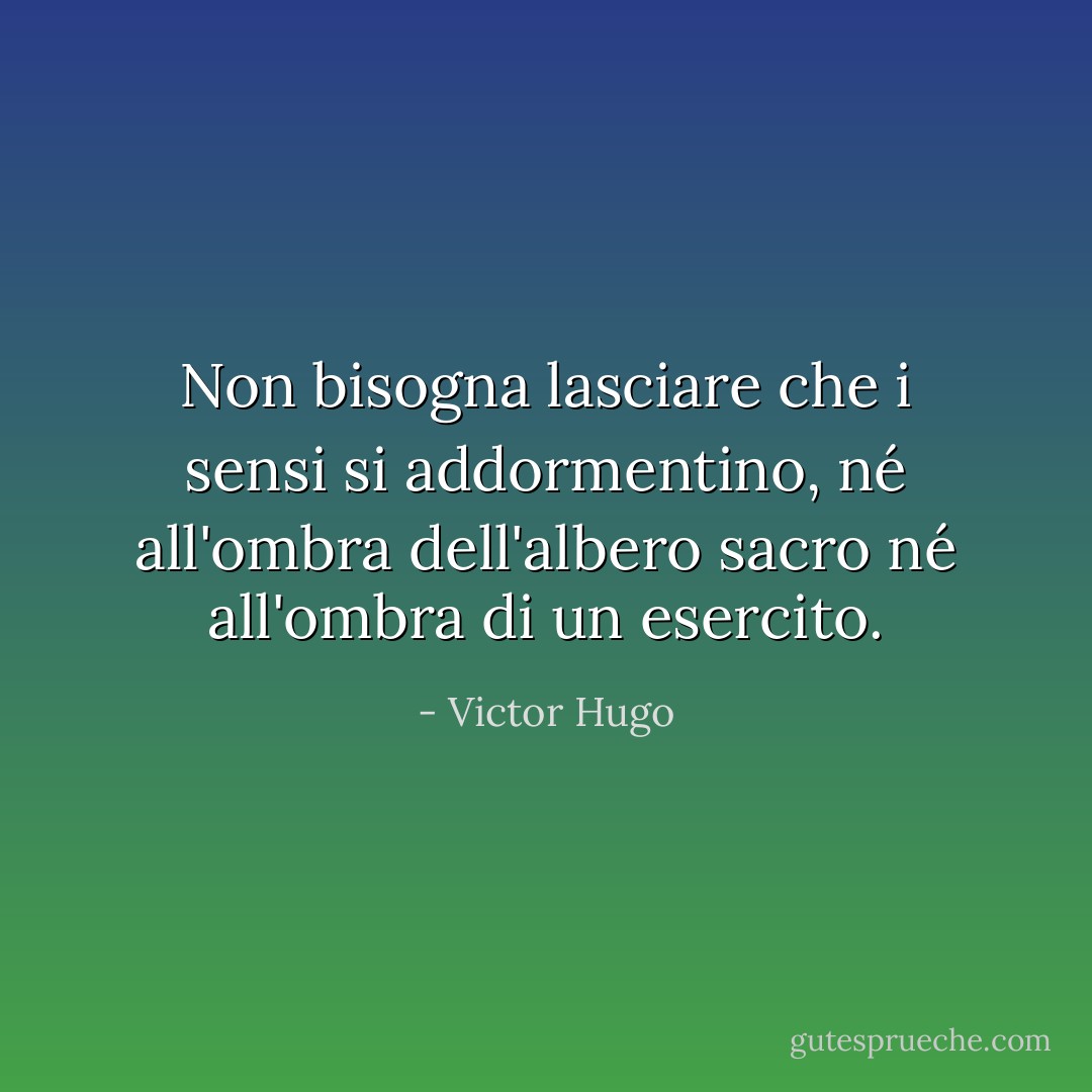 Non bisogna lasciare che i sensi si addormentino, né all'ombra dell'albero sacro né all'ombra di un esercito. - Victor Hugo
