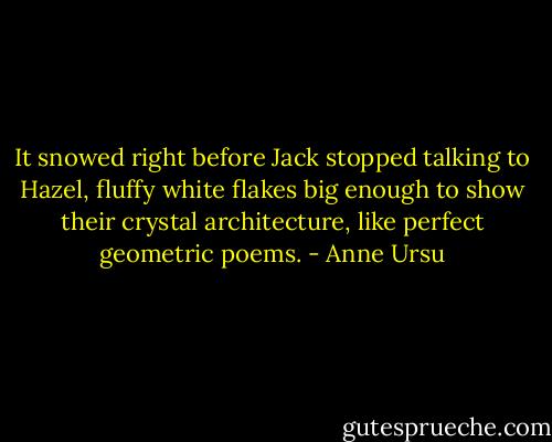 It snowed right before Jack stopped talking to Hazel, fluffy white flakes big enough to show their crystal architecture, like perfect geometric poems. - Anne Ursu