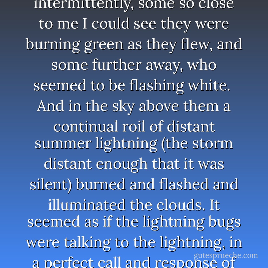 I took the dog out for a walk tonight, and together we wandered across the meadow next door. It was a warm summer's night, dark, and moonless. There were a handful of fireflies flickering intermittently, some so close to me I could see they were burning green as they flew, and some further away, who seemed to be flashing white.<br /><br />And in the sky above them a continual roil of distant summer lightning (the storm distant enough that it was silent) burned and flashed and illuminated the clouds. It seemed as if the lightning bugs were talking to the lightning, in a perfect call and response of flash and counterflash. I watched the sky and the meadow flash and flash while the dog walked ahead of me, and realised that I was perfectly happy... - Neil Gaiman