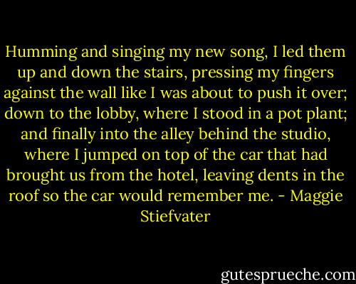 Humming and singing my new song, I led them up and down the stairs, pressing my fingers against the wall like I was about to push it over; down to the lobby, where I stood in a pot plant; and finally into the alley behind the studio, where I jumped on top of the car that had brought us from the hotel, leaving dents in the roof so the car would remember me. - Maggie Stiefvater
