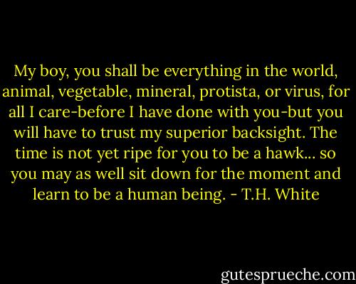 My boy, you shall be everything in the world, animal, vegetable, mineral, protista, or virus, for all I care-before I have done with you-but you will have to trust my superior backsight. The time is not yet ripe for you to be a hawk... so you may as well sit down for the moment and learn to be a human being. - T.H. White
