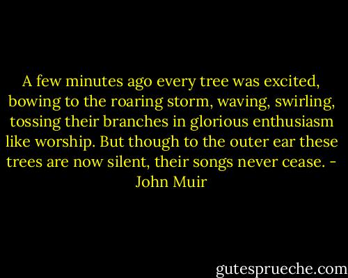 A few minutes ago every tree was excited, bowing to the roaring storm, waving, swirling, tossing their branches in glorious enthusiasm like worship. But though to the outer ear these trees are now silent, their songs never cease. - John Muir
