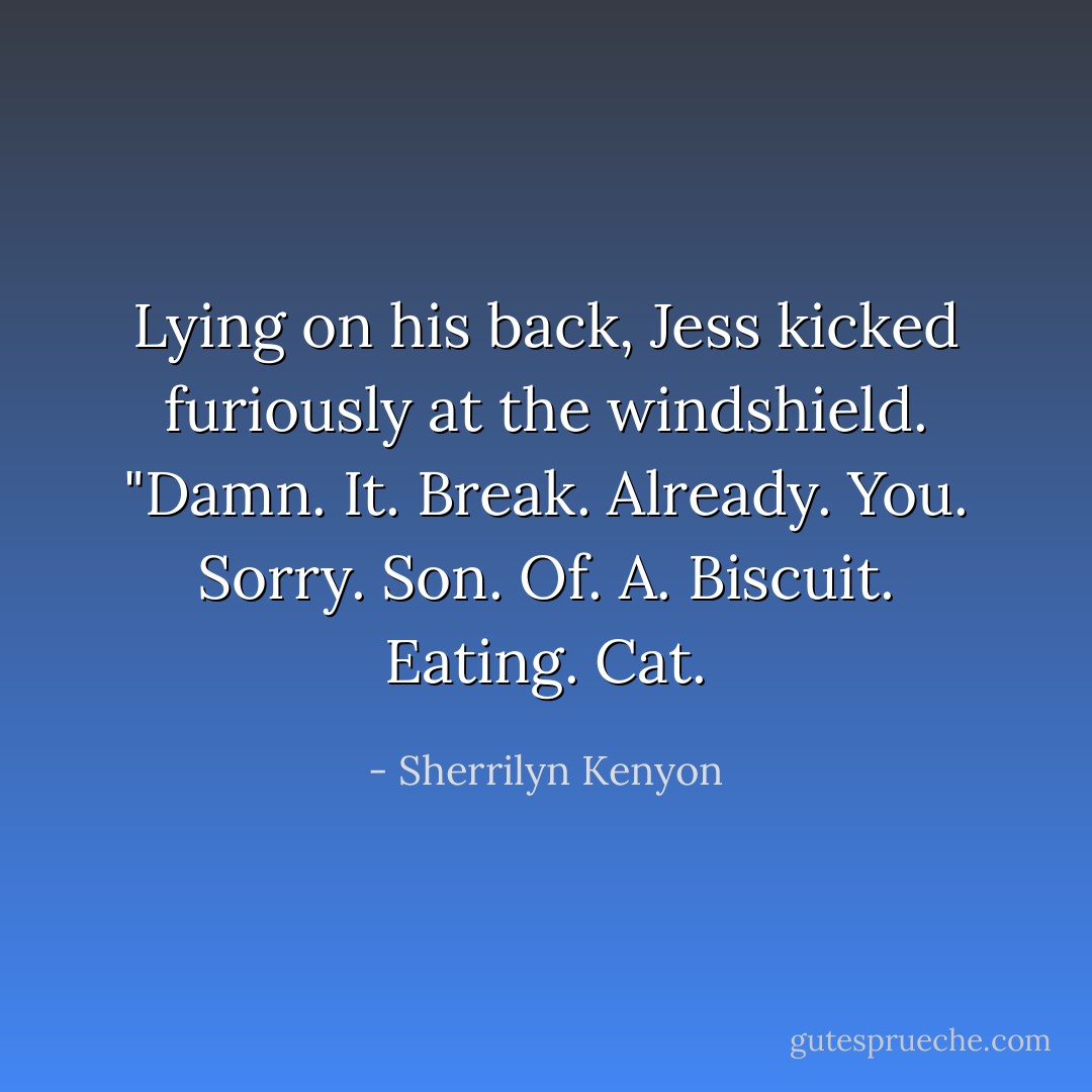 Lying on his back, Jess kicked furiously at the windshield. "Damn. It. Break. Already. You. Sorry. Son. Of. A. Biscuit. Eating. Cat. - Sherrilyn Kenyon