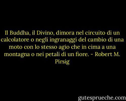Il Buddha, il Divino, dimora nel circuito di un calcolatore o negli ingranaggi del cambio di una moto con lo stesso agio che in cima a una montagna o nei petali di un fiore. - Robert M. Pirsig