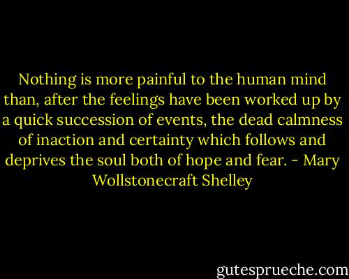 Nothing is more painful to the human mind than, after the feelings have been worked up by a quick succession of events, the dead calmness of inaction and certainty which follows and deprives the soul both of hope and fear. - Mary Wollstonecraft Shelley