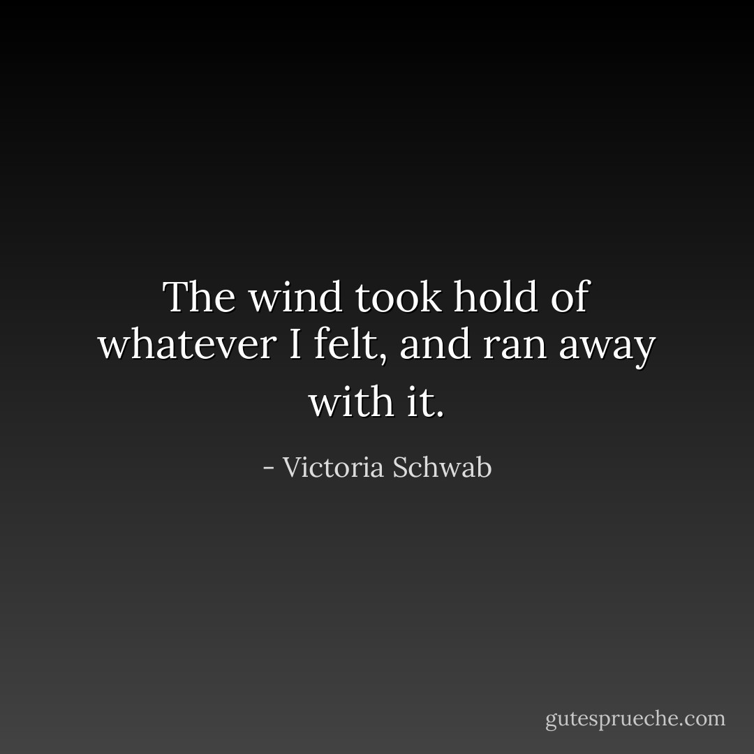 The wind took hold of whatever I felt, and ran away with it. - Victoria Schwab