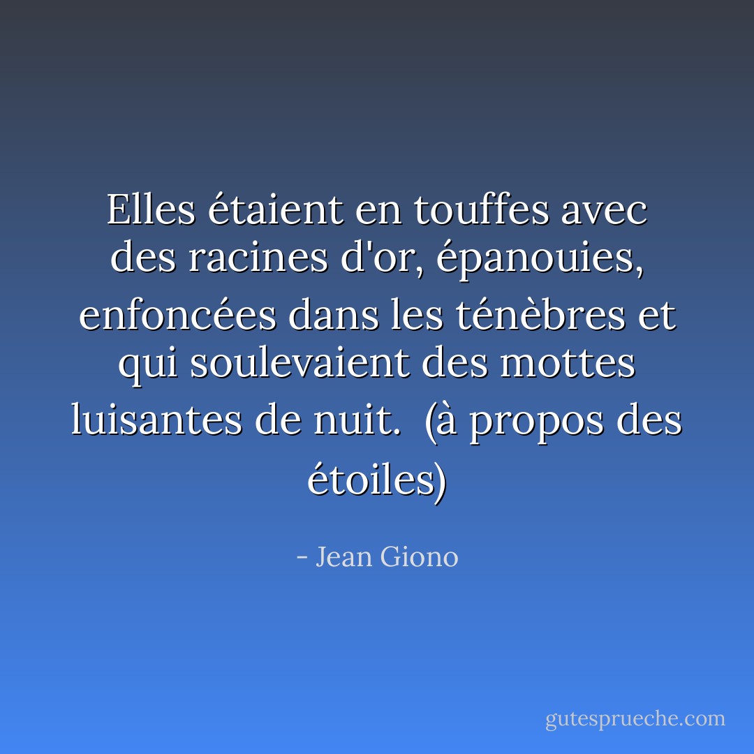Elles étaient en touffes avec des racines d'or, épanouies, enfoncées dans les ténèbres et qui soulevaient des mottes luisantes de nuit.<br /><br />(à propos des étoiles) - Jean Giono