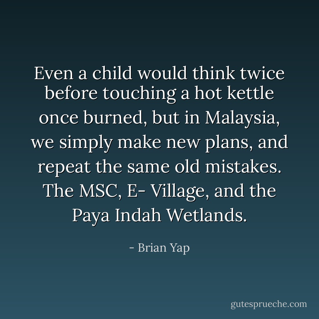 Even a child would think twice before touching a hot kettle once burned, but in Malaysia, we simply make new plans, and repeat the same old mistakes. The MSC, E- Village, and the Paya Indah Wetlands. - Brian Yap