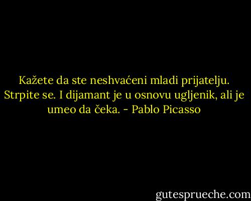 Kažete da ste neshvaćeni mladi prijatelju.<br />Strpite se.<br />I dijamant je u osnovu ugljenik, ali je umeo da čeka. - Pablo Picasso