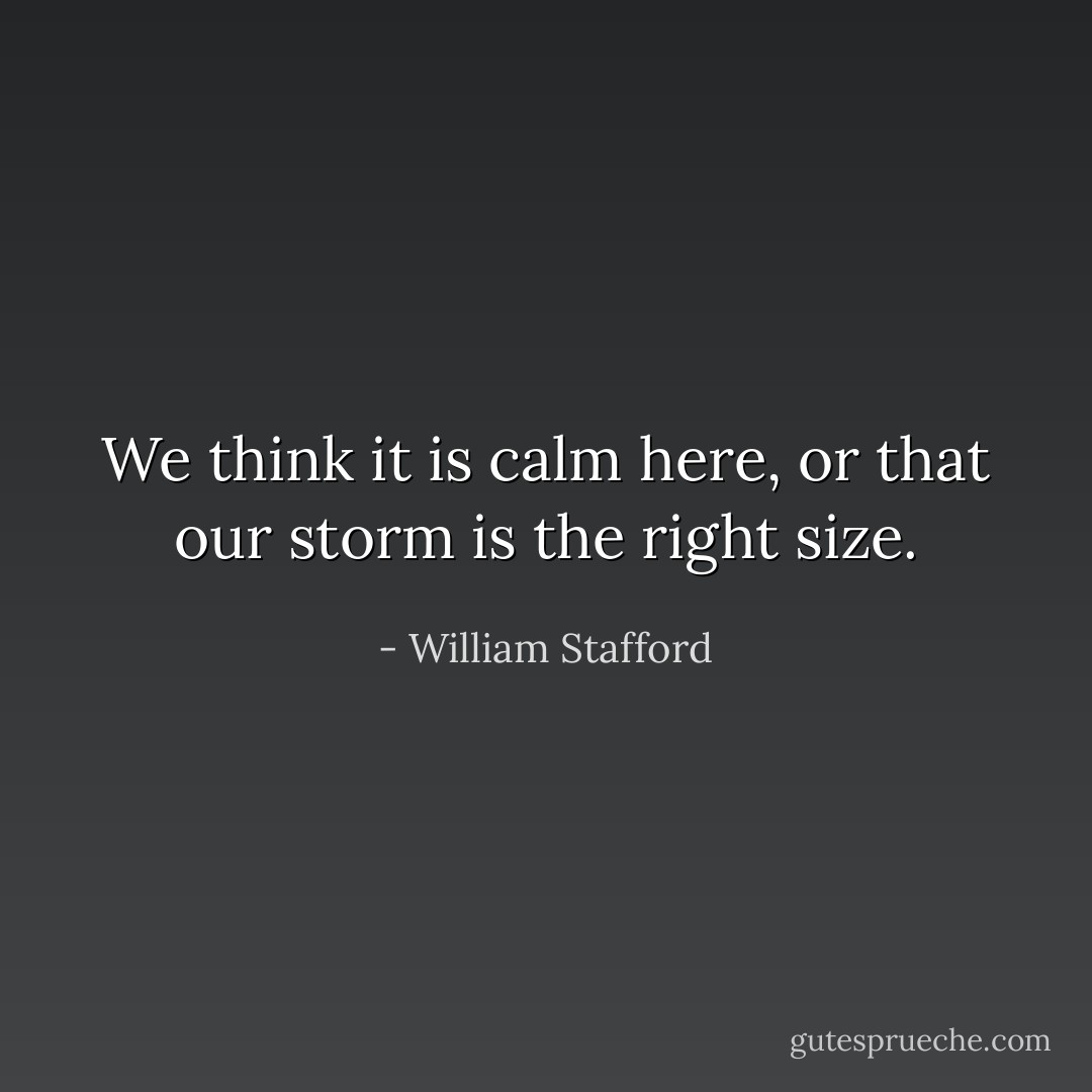 We think it is calm here, or that our storm is the right size. - William Stafford