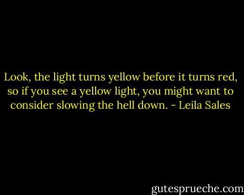 Look, the light turns yellow before it turns red, so if you see a yellow light, you might want to consider slowing the hell down. - Leila Sales