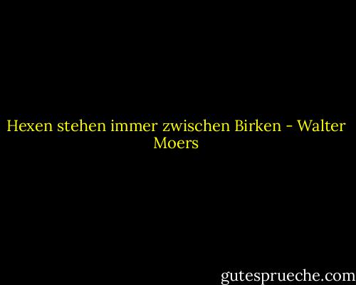 Hexen stehen immer zwischen Birken - Walter Moers