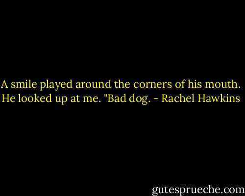 A smile played around the corners of his mouth. He looked up at me. "Bad dog. - Rachel Hawkins