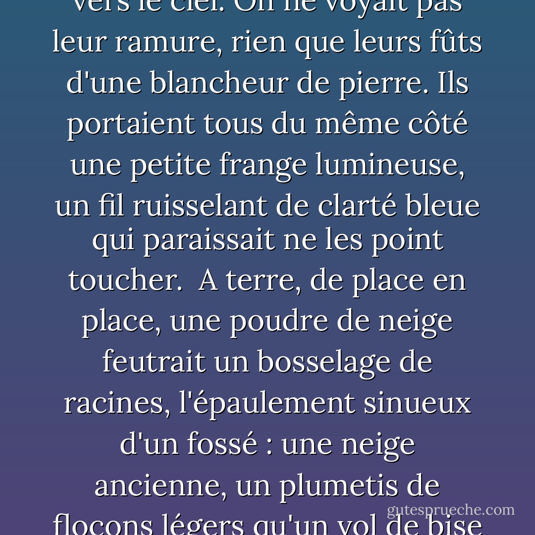 Les arbres, dans le clair d'étoiles, jaillissaient droits vers le ciel. On ne voyait pas leur ramure, rien que leurs fûts d'une blancheur de pierre. Ils portaient tous du même côté une petite frange lumineuse, un fil ruisselant de clarté bleue qui paraissait ne les point toucher.<br /> A terre, de place en place, une poudre de neige feutrait un bosselage de racines, l'épaulement sinueux d'un fossé : une neige ancienne, un plumetis de flocons légers qu'un vol de bise avait perdu là en passant. - Maurice Genevoix