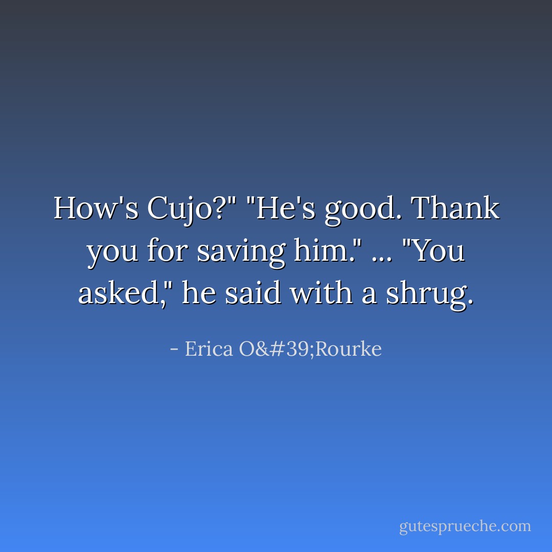 How's Cujo?"<br />"He's good. Thank you for saving him." ...<br />"You asked," he said with a shrug. - Erica O'Rourke