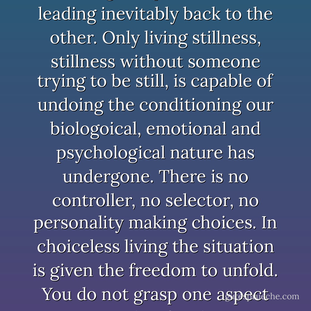 It is only through silent awareness that our physical and mental nature can change. This change is completely spontaneous. If we make an effort to change we do no more than shift our attention from one level, from one thing, to another. We remain in a vicious circle. This only transfers energy from one point to another. It still leaves us oscillating between suffering and pleasure, each leading inevitably back to the other. Only living stillness, stillness without someone trying to be still, is capable of undoing the conditioning our biologoical, emotional and psychological nature has undergone. There is no controller, no selector, no personality making choices. In choiceless living the situation is given the freedom to unfold. You do not grasp one aspect over another for there is nobody to grasp. When you understand something and live it without being stuck to the formulation, what you have understood dissolves in your openness. In this silence change takes place of its own accord, the problem is resolved and duality ends. You are left in your glory where no one has understood and nothing has been understood. - Jean Klein