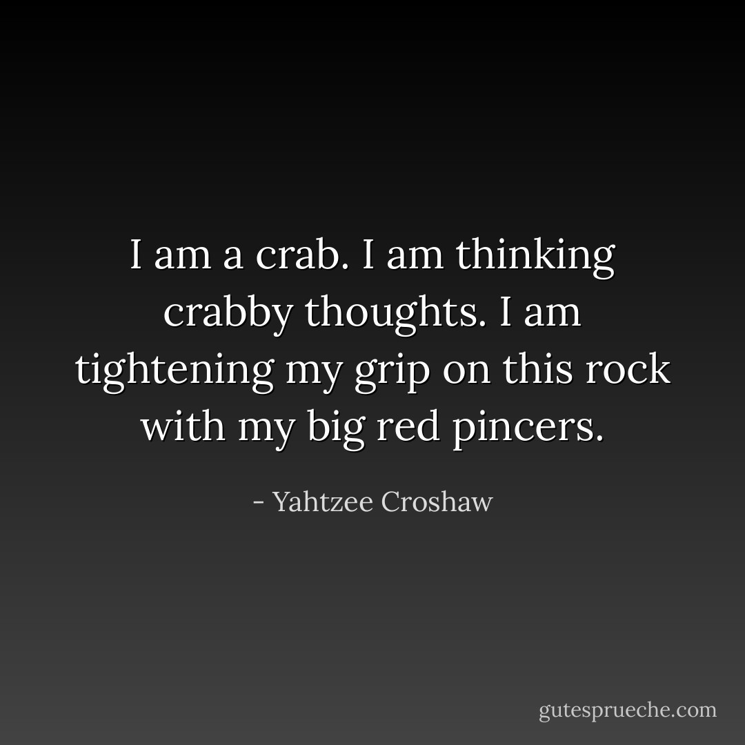 I am a crab. I am thinking crabby thoughts. I am tightening my grip on this rock with my big red pincers. - Yahtzee Croshaw