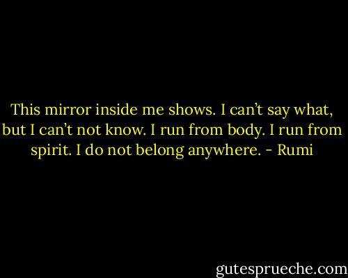 This mirror inside me shows.<br />I can’t say what, but I can’t not know.<br />I run from body. I run from spirit.<br />I do not belong anywhere. - Rumi