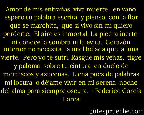 Amor de mis entrañas, viva muerte, <br />en vano espero tu palabra escrita <br />y pienso, con la flor que se marchita, <br />que si vivo sin mí quiero perderte.<br /><br />El aire es inmortal. La piedra inerte <br />ni conoce la sombra ni la evita. <br />Corazón interior no necesita <br />la miel helada que la luna vierte.<br /><br />Pero yo te sufrí. Rasgué mis venas, <br />tigre y paloma, sobre tu cintura <br />en duelo de mordiscos y azucenas.<br /><br />Llena pues de palabras mi locura <br />o déjame vivir en mi serena <br />noche del alma para siempre oscura. - Federico García Lorca