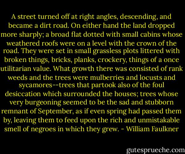 A street turned off at right angles, descending, and became a dirt road. On either hand the land dropped more sharply; a broad flat dotted with small cabins whose weathered roofs were on a level with the crown of the road. They were set in small grassless plots littered with broken things, bricks, planks, crockery, things of a once utilitarian value. What growth there was consisted of rank weeds and the trees were mulberries and locusts and sycamores--trees that partook also of the foul desiccation which surrounded the houses; trees whose very burgeoning seemed to be the sad and stubborn remnant of September, as if even spring had passed them by, leaving them to feed upon the rich and unmistakable smell of negroes in which they grew. - William Faulkner