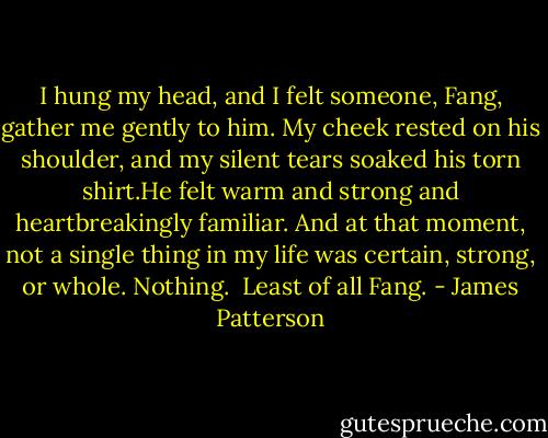 I hung my head, and I felt someone, Fang, gather me gently to him. My cheek rested on his shoulder, and my silent tears soaked his torn shirt.He felt warm and strong and heartbreakingly familiar. And at that moment, not a single thing in my life was certain, strong, or whole. Nothing. <br />Least of all Fang. - James Patterson
