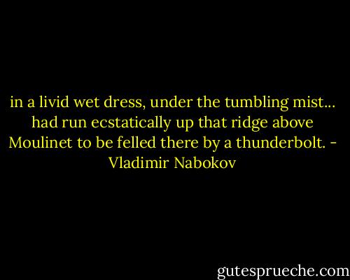 in a livid wet dress, under the tumbling mist... had run ecstatically up that ridge above Moulinet to be felled there by a thunderbolt. - Vladimir Nabokov