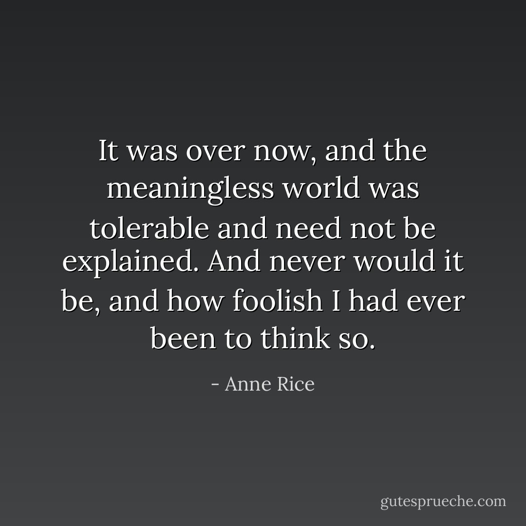 It was over now, and the meaningless world was tolerable and need not be explained. And never would it be, and how foolish I had ever been to think so. - Anne Rice