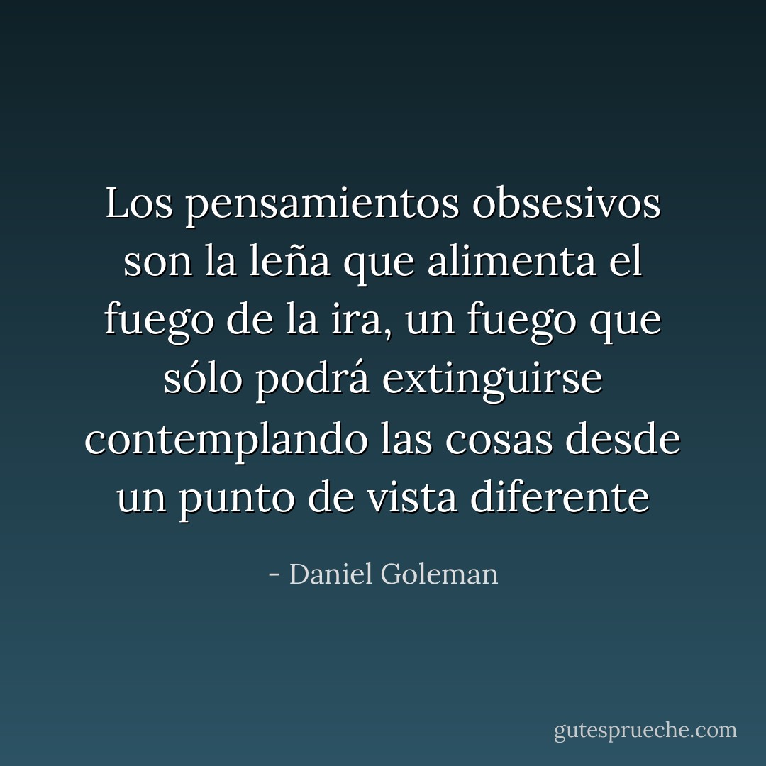 Los pensamientos obsesivos son la leña que alimenta el fuego de la ira, un fuego que sólo podrá extinguirse contemplando las cosas desde un punto de vista diferente - Daniel Goleman