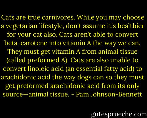 Cats are true carnivores. While you may choose a vegetarian lifestyle, don't assume it's healthier for your cat also. Cats aren't able to convert beta-carotene into vitamin A the way we can. They must get vitamin A from animal tissue (called preformed A). Cats are also unable to convert linoleic acid (an essential fatty acid) to arachidonic acid the way dogs can so they must get preformed arachidonic acid from its only source—animal tissue. - Pam Johnson-Bennett