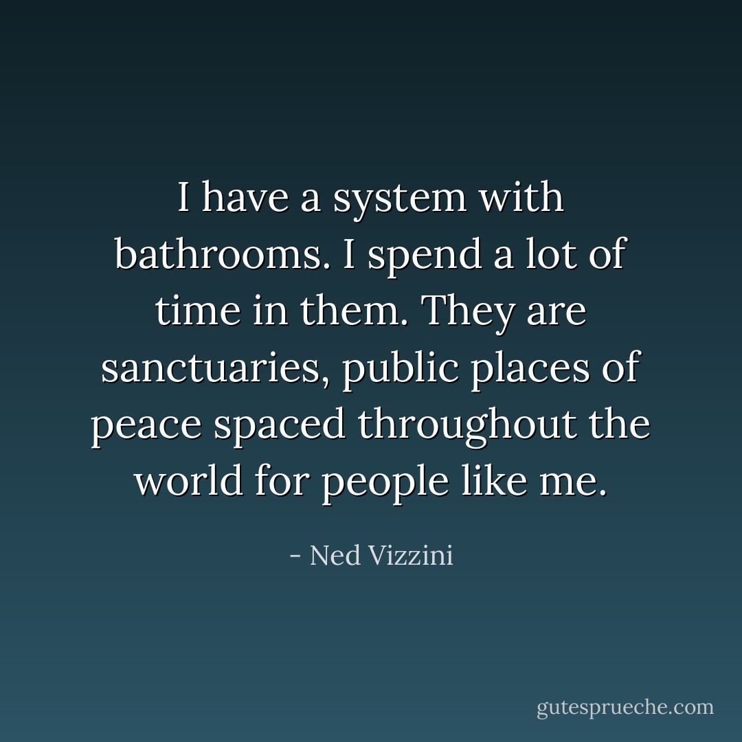 I have a system with bathrooms. I spend a lot of time in them. They are sanctuaries, public places of peace spaced throughout the world for people like me. - Ned Vizzini