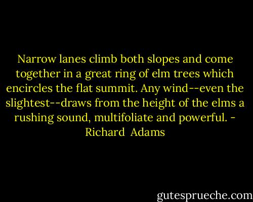 Narrow lanes climb both slopes and come together in a great ring of elm trees which encircles the flat summit. Any wind--even the slightest--draws from the height of the elms a rushing sound, multifoliate and powerful. - Richard  Adams