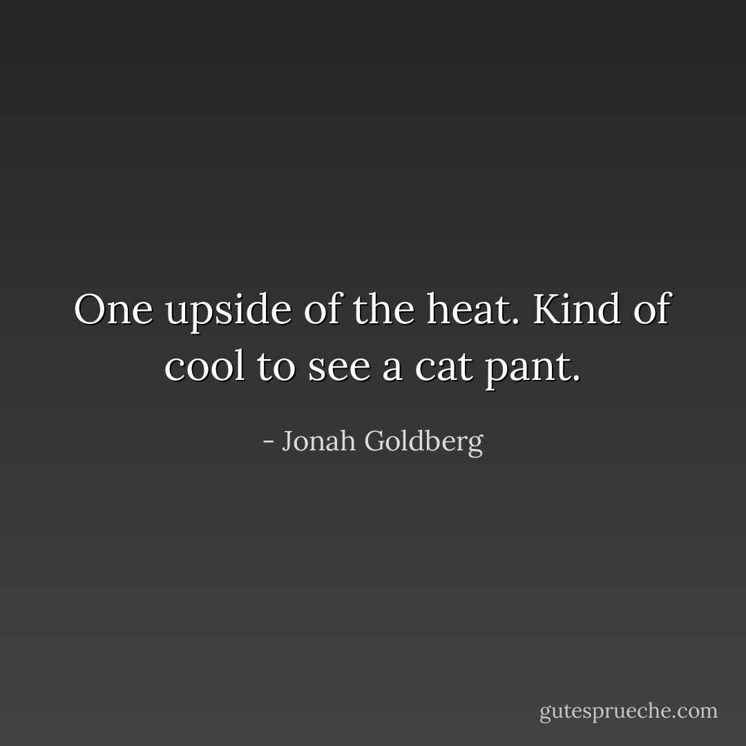 One upside of the heat. Kind of cool to see a cat pant. - Jonah Goldberg