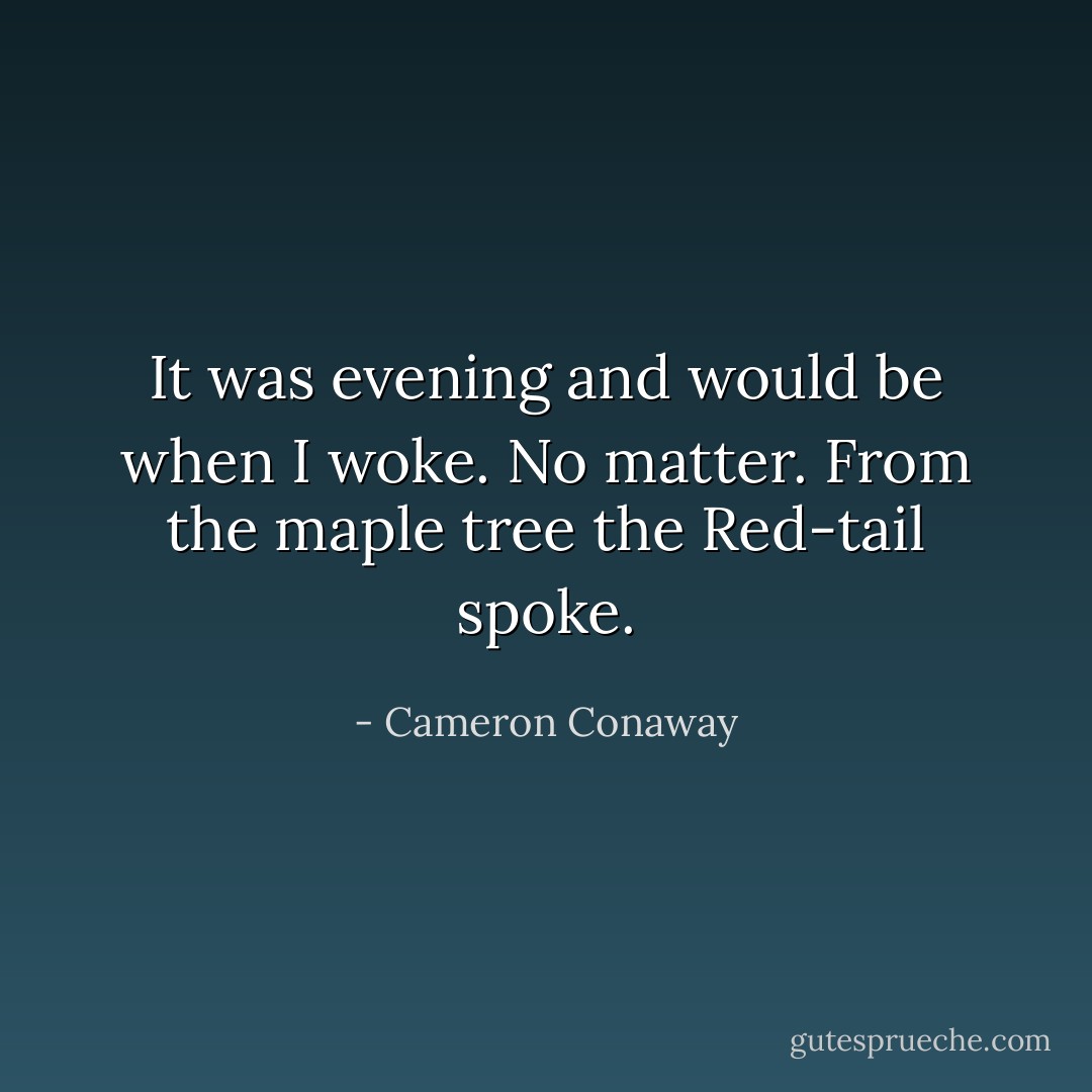 It was evening and would be when I woke. No matter. From the maple tree the Red-tail spoke. - Cameron Conaway
