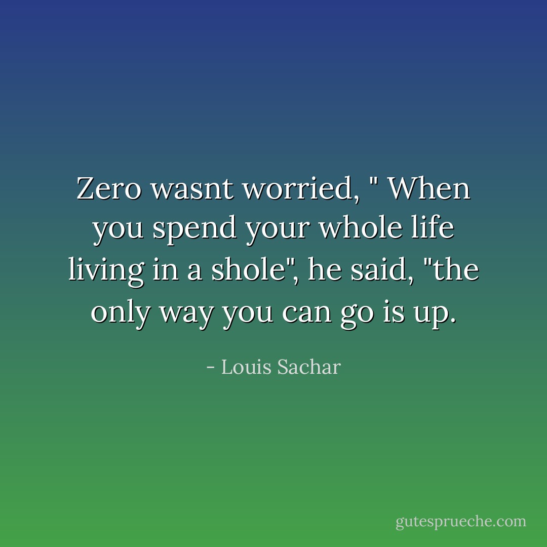 Zero wasnt worried, " When you spend your whole life living in a shole", he said, "the only way you can go is up. - Louis Sachar