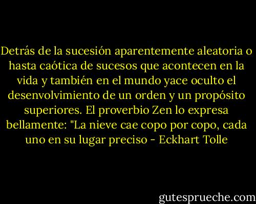Detrás de la sucesión aparentemente aleatoria o hasta caótica de sucesos que acontecen en la vida y también en el mundo yace oculto el desenvolvimiento de un orden y un propósito superiores. El proverbio Zen lo expresa bellamente: "La nieve cae copo por copo, cada uno en su lugar preciso - Eckhart Tolle
