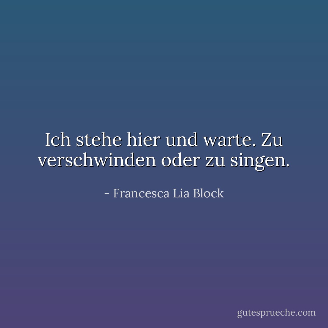 Ich stehe hier und warte. Zu verschwinden oder zu singen. - Francesca Lia Block<