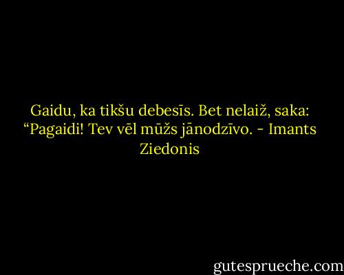 Gaidu, ka tikšu debesīs. Bet nelaiž, saka: “Pagaidi! Tev vēl mūžs jānodzīvo. - Imants Ziedonis