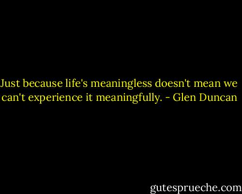 Just because life's meaningless doesn't mean we can't experience it meaningfully. - Glen Duncan